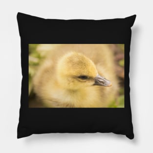 Fluffiest duckling in the world Pillow