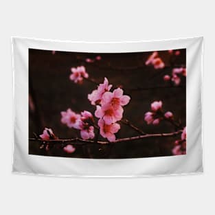 A Softer Spring Tapestry