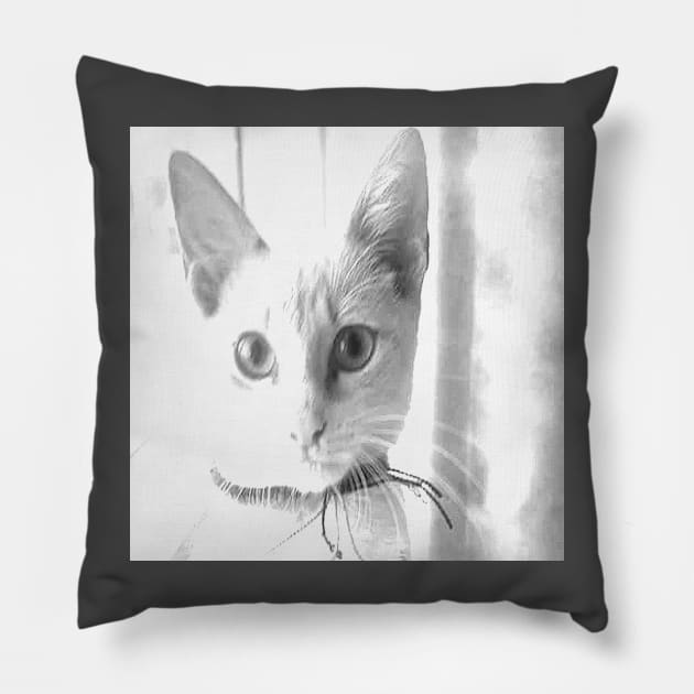 CAT REAL  II Pillow by CATUNIVERSE