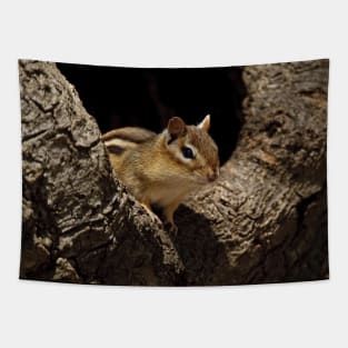 Chipmunk Tapestry