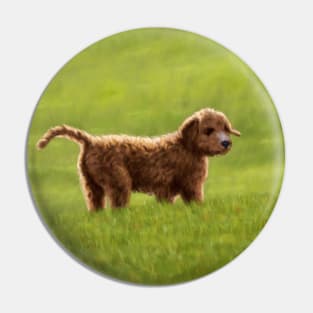 A Cockapoo Puppy (Named Sunny) Pin