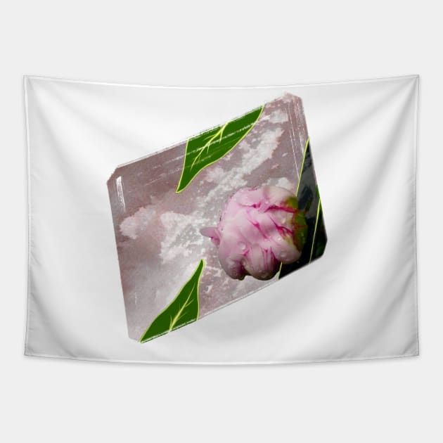 Spring Musings - Peony Bud Tapestry by Musings Home Decor