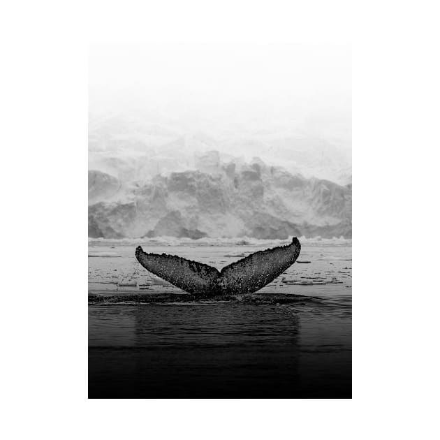 Whale tale by standardprints