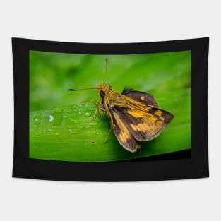 Unique and organic photo of a yellow skipper (butterfly) with wings opened Tapestry