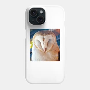 Sleeping Barn Owl Phone Case