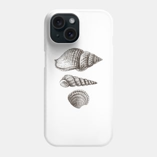 Shell - Sea Shells Vintage Image Phone Case