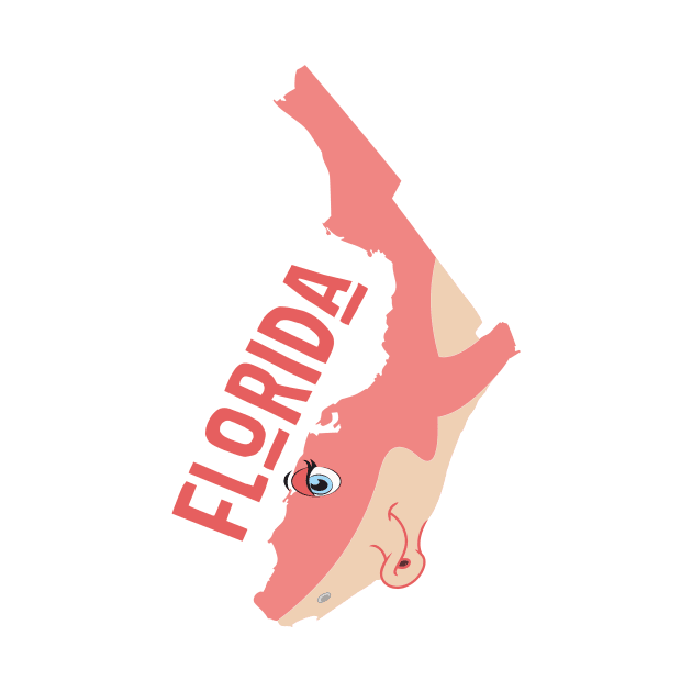 Florida (a funny map) by percivalrussell