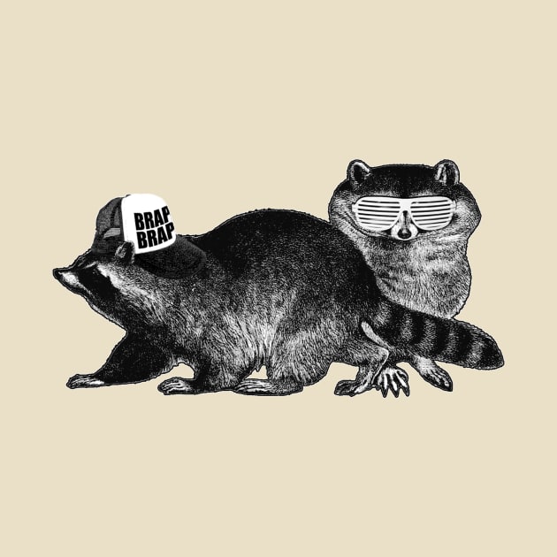 Raccoons: Nature's Teenagers by The Comedy Button