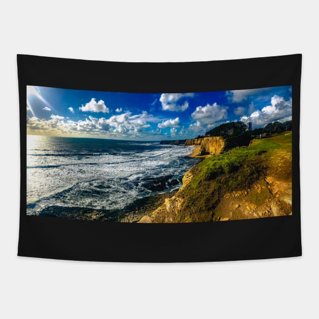 Highway 101 Davenport Pier California coast Tapestry by aadventures