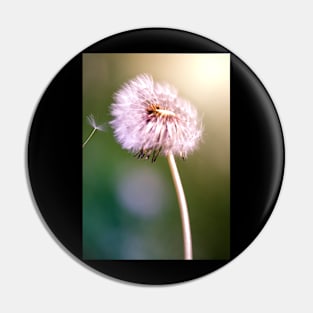 Dandelion Pin