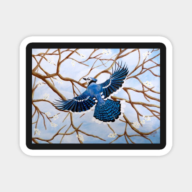 Soaring Blue Jay Magnet by teresawingarts