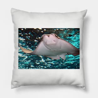 Smiling Stingray Pillow