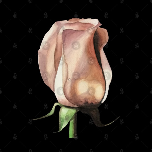 Pink Rose Bud Watercolor Painting by Lady Lilac