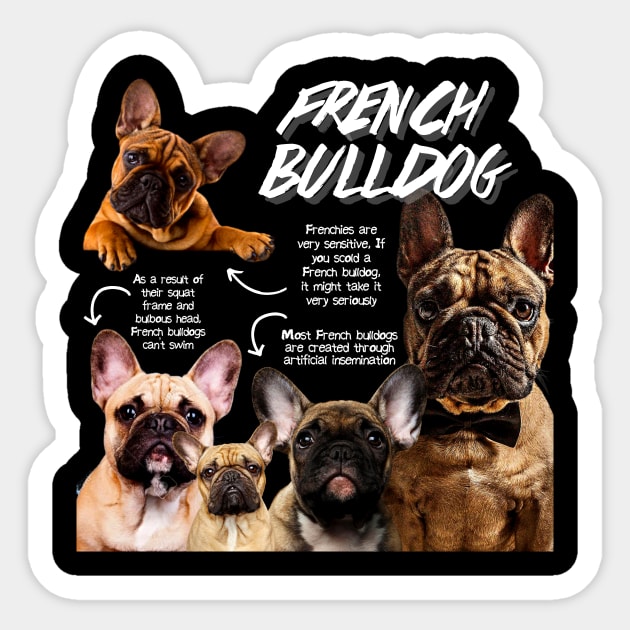 French Bulldog fun Facts Bulldog Sticker TeePublic