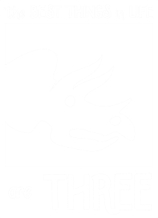 The Best Things In Life Are Three (Triceratops) Magnet