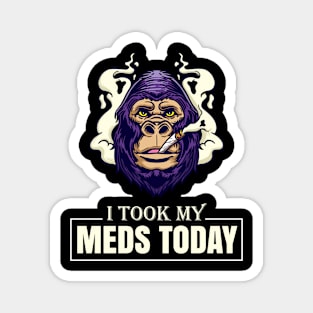 I Took My Meds Today Magnet