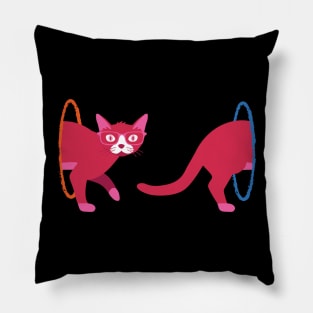 Portal Cat Pillow