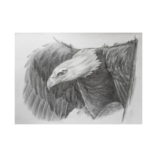 Eagle by hicksi7
