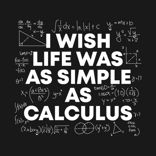 Life As Simple As Calculus by TheBestHumorApparel