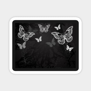 Butterflies Drawn in Chalk Magnet