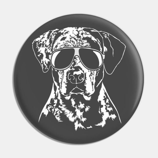 Funny Catahoula Leopard Dog with sunglasses Pin by wilsigns
