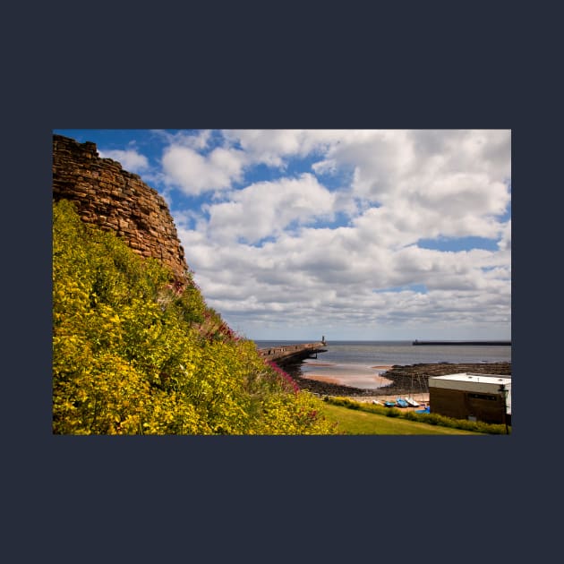 The mouth of the River Tyne by Violaman