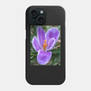 Purple, Orange and White Flower 4 Phone Case