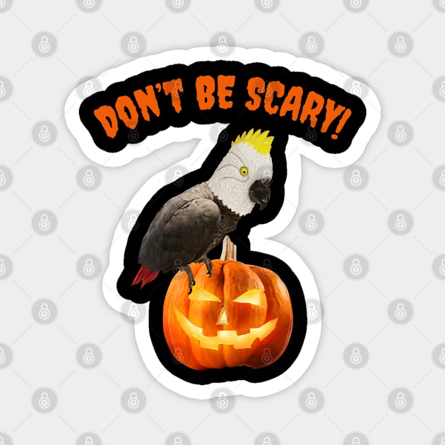 Einstein Parrot / Don't Be Scary Magnet by Einstein Parrot