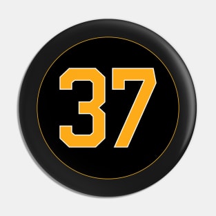 bergy Pin