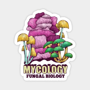 Colourful Mushrooms Magnet