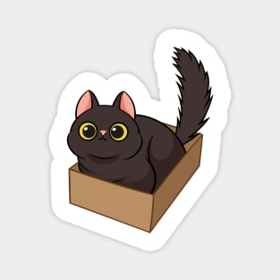 Cat in the box Magnet