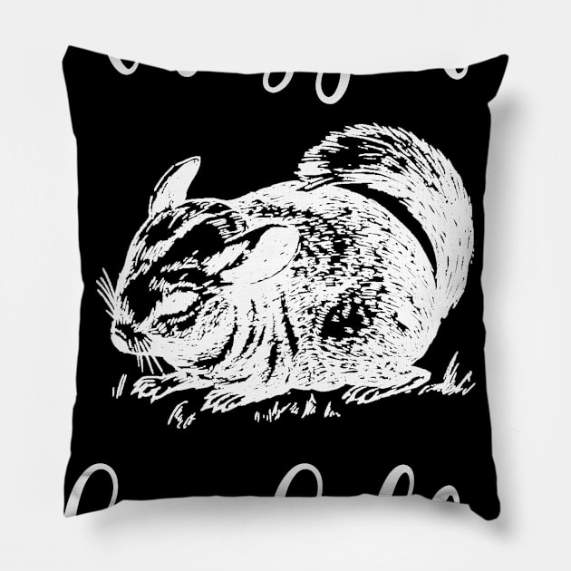 I'm Crazy About Chinchillas Pillow by DANPUBLIC