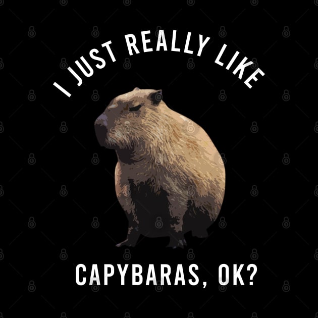 I-Just-Really-Like-Capybaras-OK by Multidimension art world