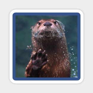 North American River Otter Magnet