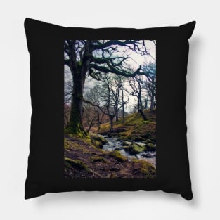 Restless Waters Pillow