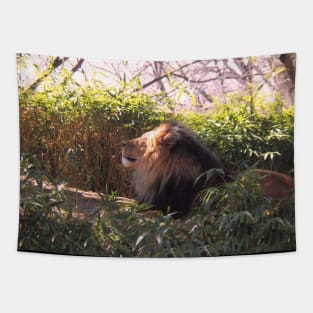 Lion in the Sun Tapestry