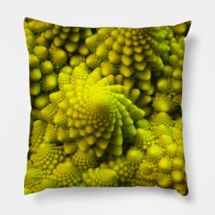 Fibbonaci Pattern in Romanesco brocolli Pillow