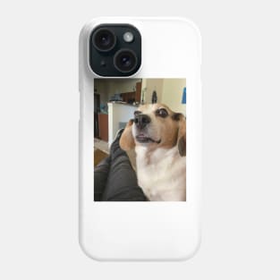 The shocked Beagle Phone Case