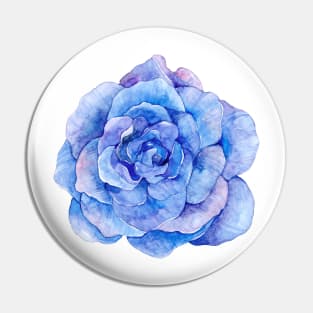 Purple watercolor rose flower illustration, flower blue Pin