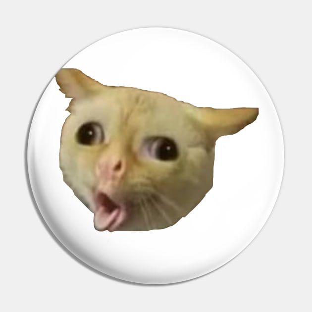 Cat Coughing Like A Kid Meme Pin by TintedRed