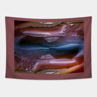 Sandstone Rock Texture Tapestry