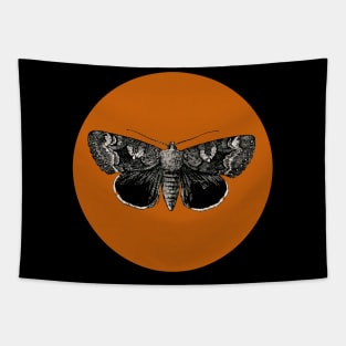 Halloween Moth, Signs and Symbol, Portents and Fortunes - Pumpkin Orange and Black Variation Tapestry