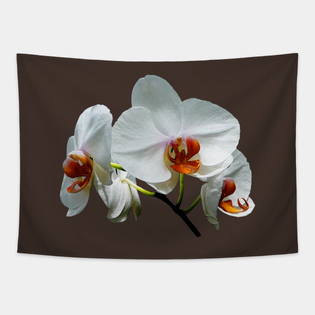 Orchids - White Orchids With Orange Center Tapestry by SusanSavad