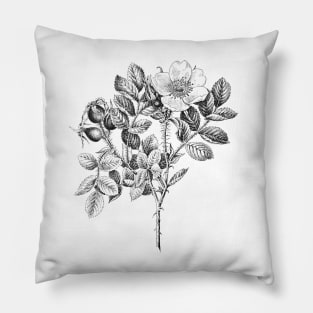 Wild Rose Flower Pillow