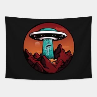 Alien Abduction in the Desert Tapestry