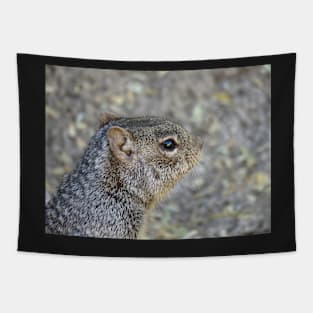 Rock Squirrel Tapestry