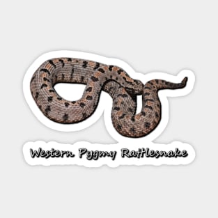 Western Pygmy Rattlesnake Magnet