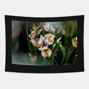 Peacock Butterfly Siberian Iris Tapestry