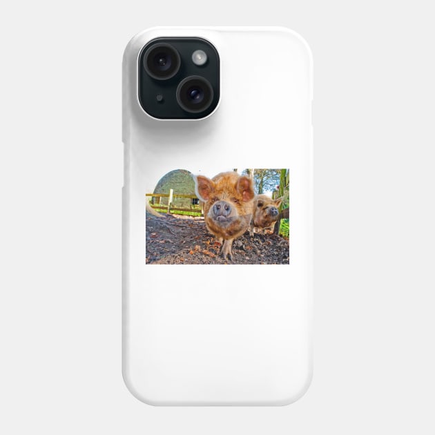 New Zealand Kunekune Pig Phone Case by AndyEvansPhotos