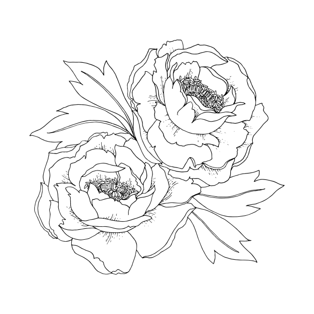 Peony Duo by themintgardener